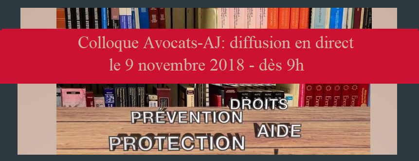 Avocats et secteur AJ: quelles articulations en faveur des droits du jeune et de sa famille?